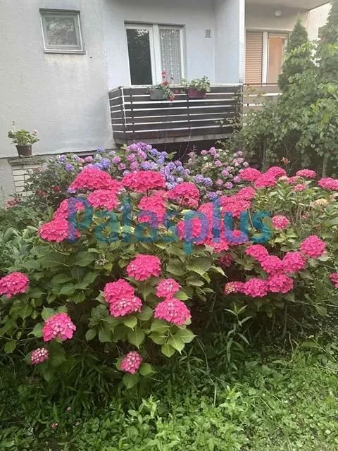 Izdavanje, dvosoban stan, 60m², Resnik, Beograd