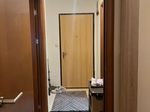 Izdavanje, jednosoban stan, 44m², Stari Aerodrom, Podgorica - image 7