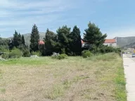 Izdavanje, plac, 2000m², Zlatica, Podgorica - image 1