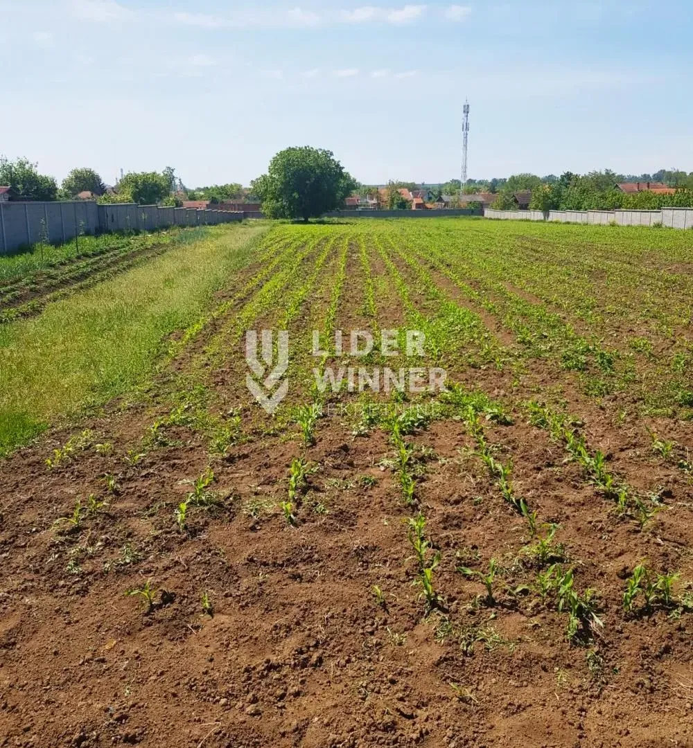 Prodaja, plac, 9765m², Surčin, Beograd
