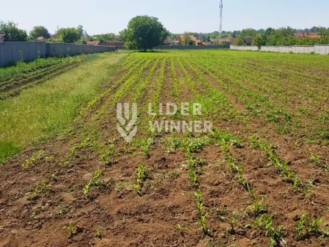 Prodaja, plac, 9765m², Surčin, Beograd - image 6