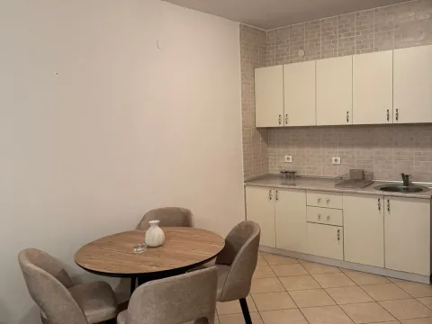 Rent, one bedroom apartment, 54m², Zagorič, Podgorica - image 9