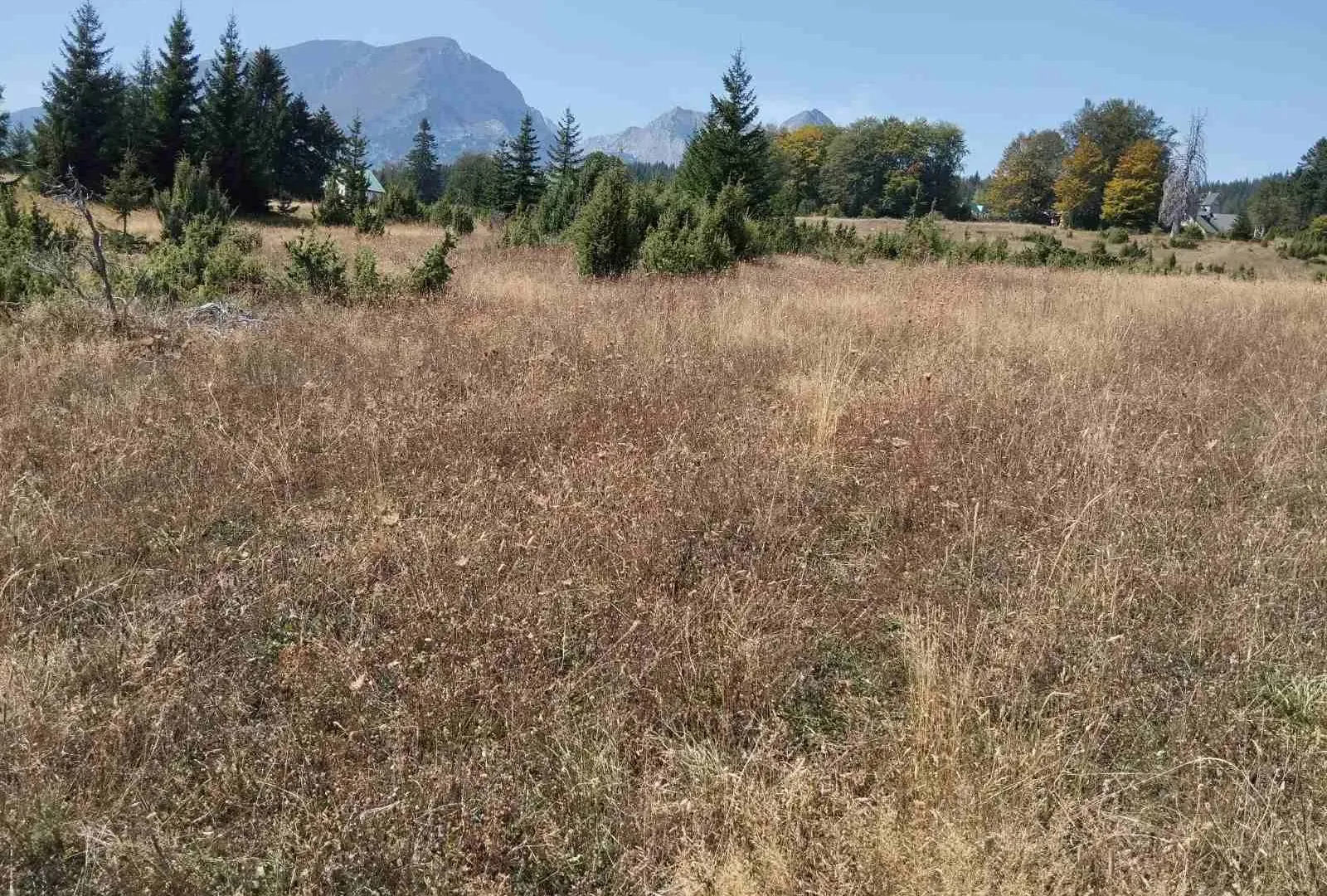 Prodaja, plac, 790m², Žabljak, Crna Gora