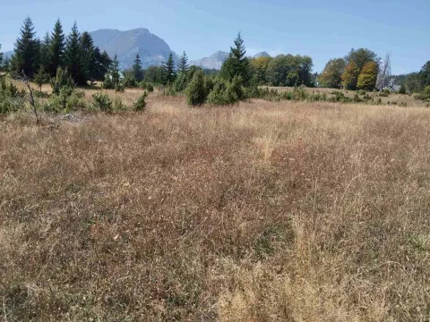 Prodaja, plac, 790m², Žabljak, Crna Gora - image 3