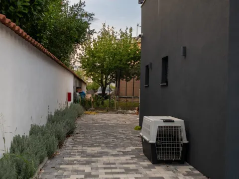 Rent, house, 180m², Gornja Gorica, Podgorica - image 8