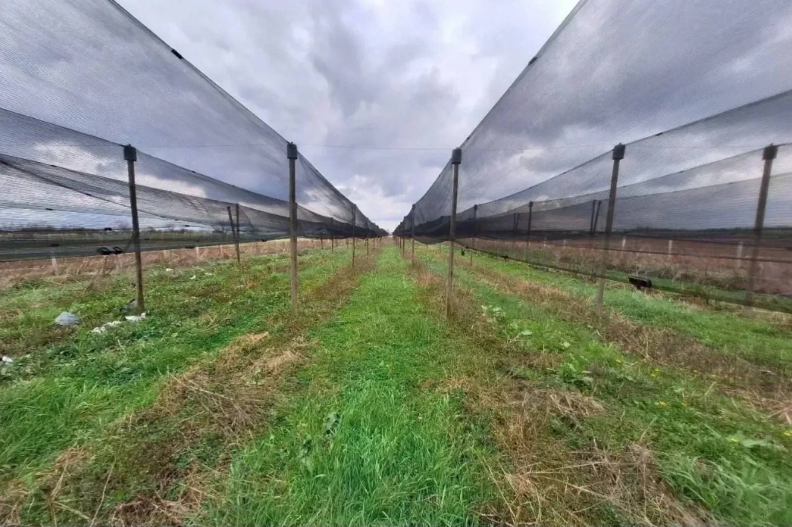 Sale, land lot, 10800m², Šabac, Srbija