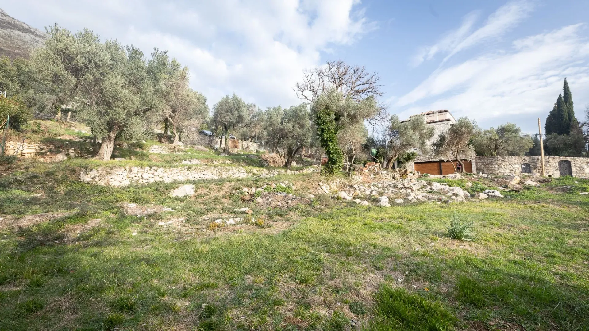 Dvorište sa maslinama i pogledom na kuću.