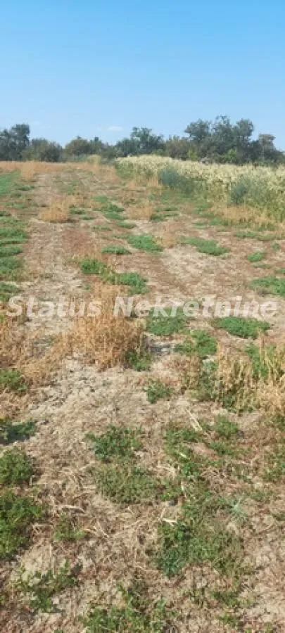 Prodaja, plac, 2200m², Futog, Novi Sad Sve Podlokacije