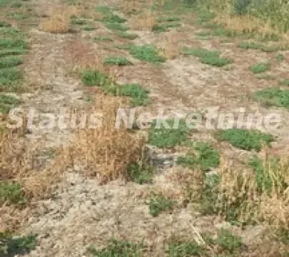 Sale, land lot, 2200m², Futog, Novi Sad Sve Podlokacije - image 2