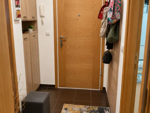 Prodaja, jednosoban stan, 51m², Tuški Put, Podgorica - image 8