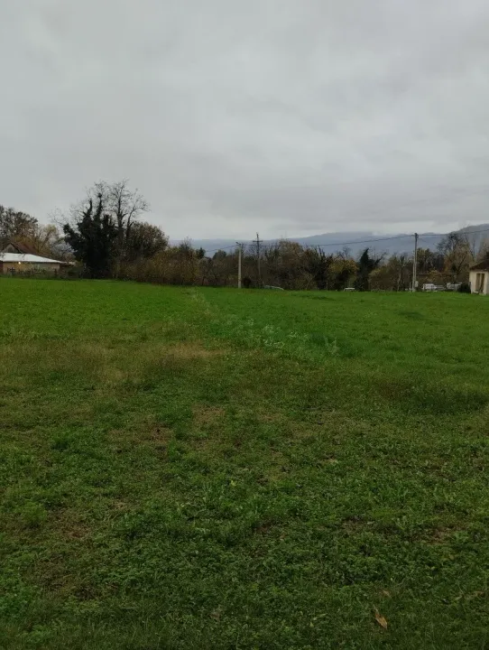 Sale, land lot, 4000m², Jelenak, Danilovgrad