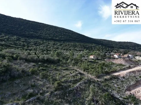 Prodaja, plac, 2457m², Žvinje, Herceg Novi - image 5