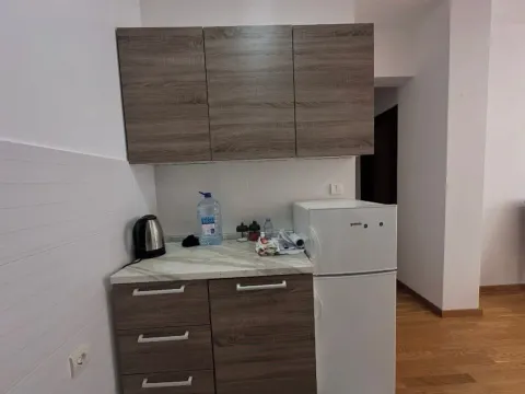 Rent, one bedroom apartment, 45m², Budva okolina, Budva - image 7