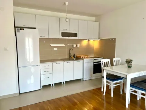 Izdavanje, jednosoban stan, 60m², Ljubović, Podgorica - image 4