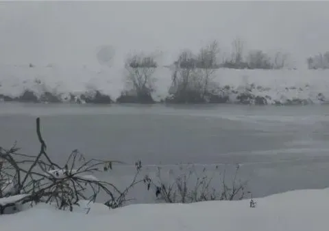 Prodaja, plac, 635m², Borča Sve Podlokacije, Beograd - image 6