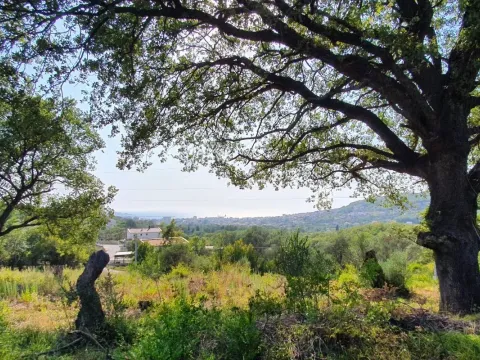 Prodaja, plac, 4200m², Bjeliši, Bar - image 4