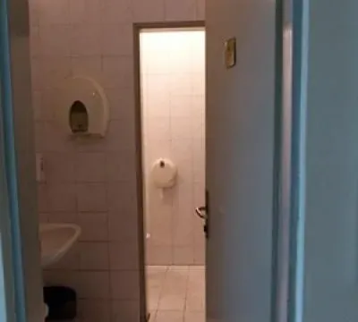 Izdavanje, poslovni prostor, 300m², Čukarica, Beograd - image 9