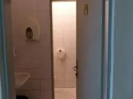 Izdavanje, poslovni prostor, 300m², Čukarica, Beograd - image 9