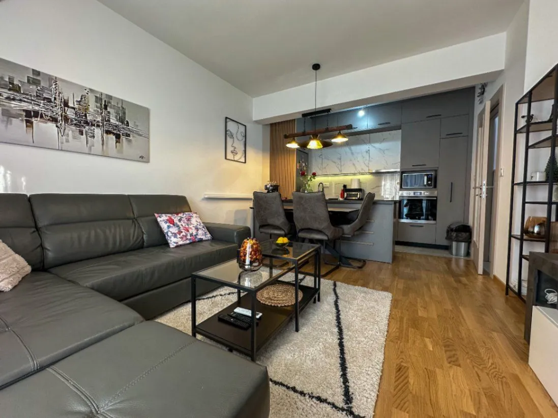 Izdavanje, jednosoban stan, 48m², Stara Varoš, Podgorica