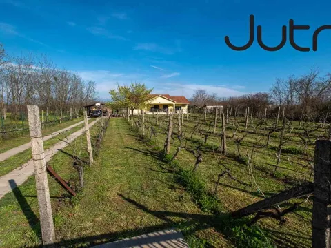 Izdavanje, kuća, 130m², Podgorica, Crna Gora - image 14