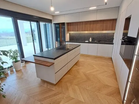 Rent, house, 350m², Donji Kokoti, Podgorica - image 5