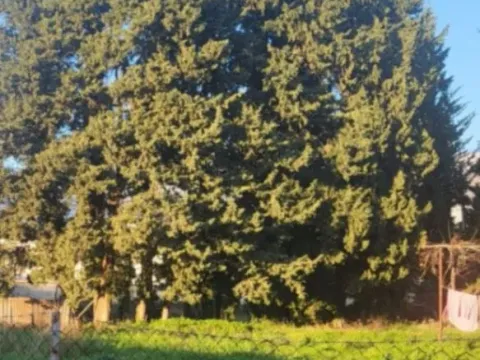 Sale, land lot, 2792m², Polje, Bar - image 5