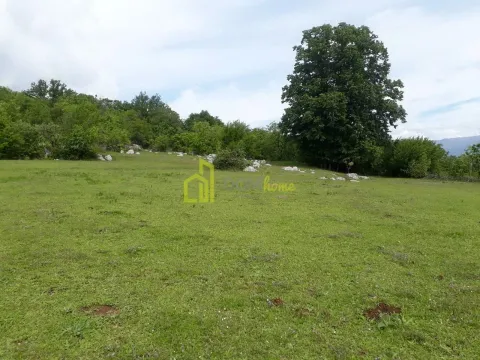 Sale, land lot, 42349m², Zagreda, Danilovgrad - image 6