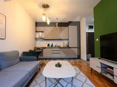 Rent, one bedroom apartment, 45m², Zabjelo, Podgorica - image 3