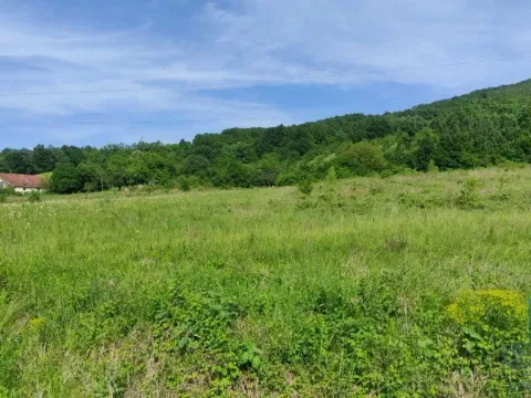 Prodaja, plac, 2166m², Resavica (varošica), Despotovac - image 10