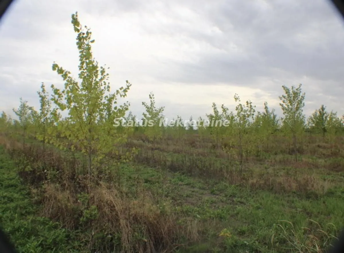 Prodaja, plac, 1378m², Zrenjanin, Srbija