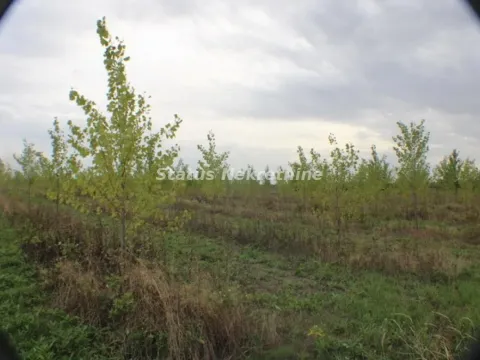 Prodaja, plac, 1378m², Zrenjanin, Srbija - image 57