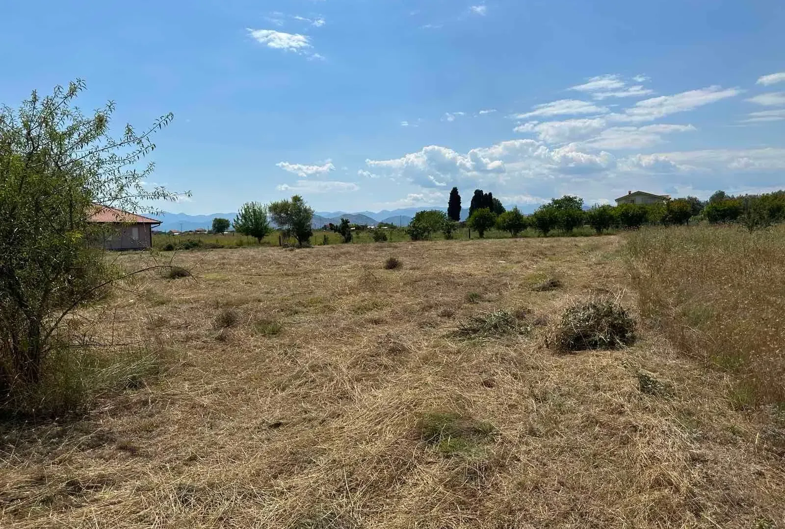 Prodaja, plac, 6000m², Zeta, Podgorica