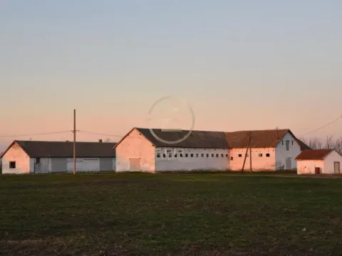 Prodaja, plac, 980m², Vrbas, Novi Sad - image 15