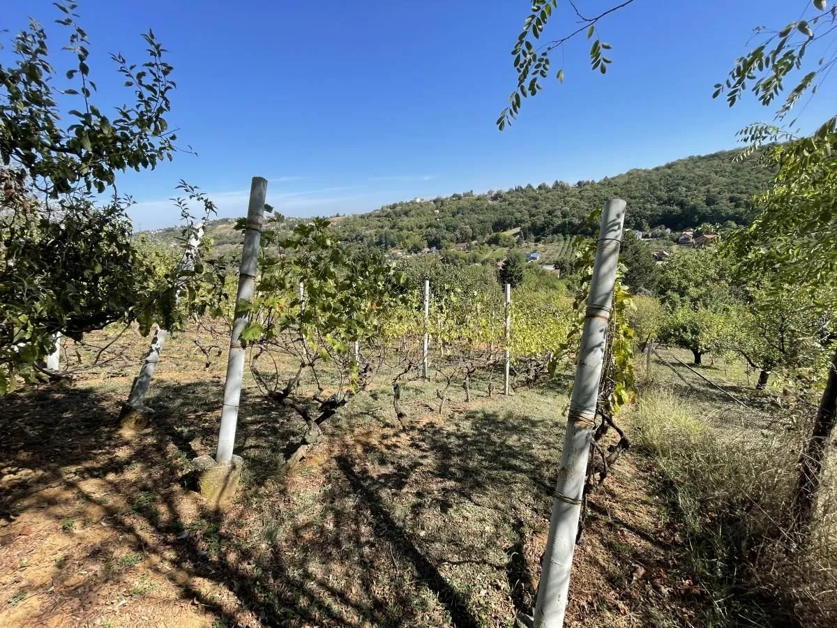 Prodaja, kuća, 54m², Paragovo, Petrovaradin