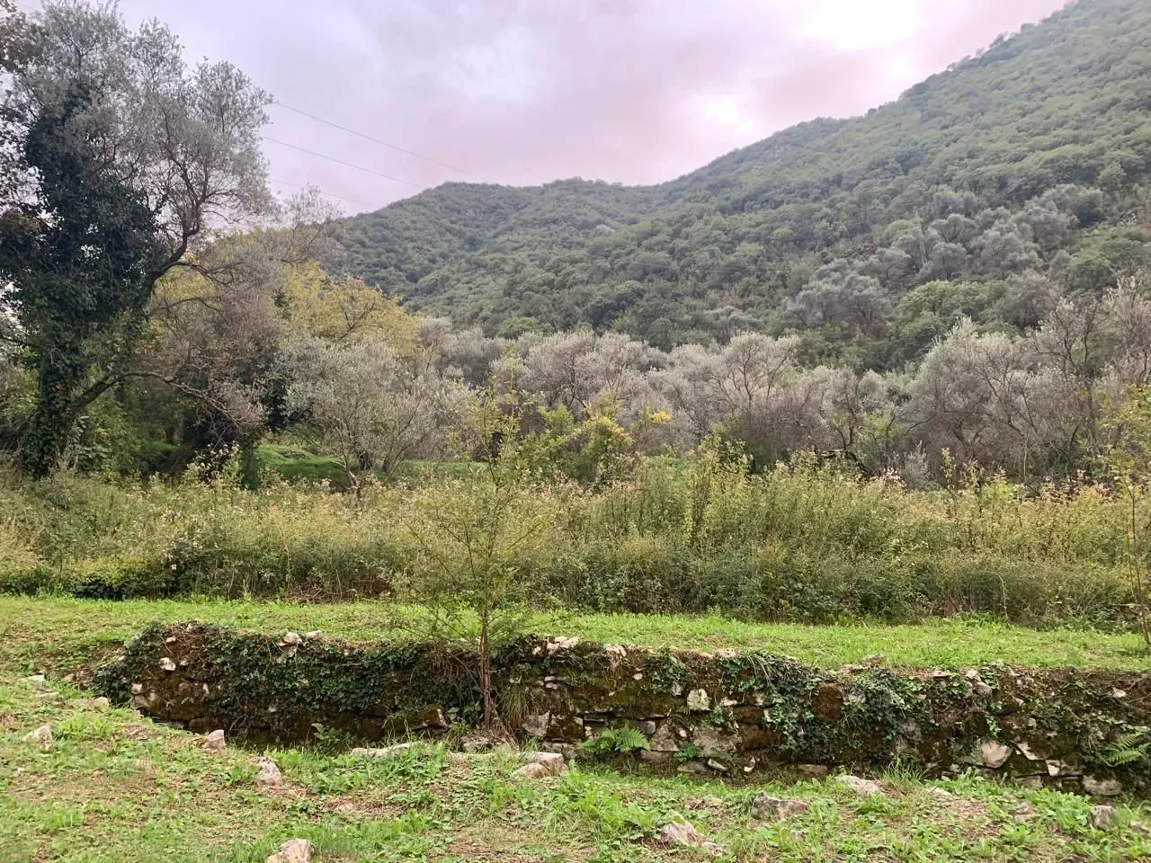 Prodaja, plac, 2313m², Stoliv, Kotor