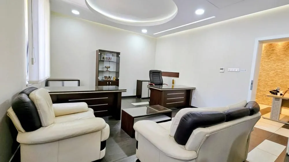 Rent, office space, 318m², Profesorska Kolonija, Palilula Sve Podlokacije