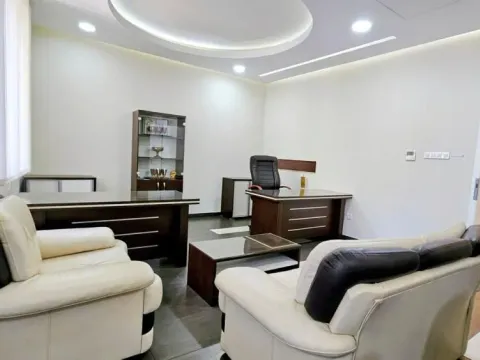 Rent, office space, 318m², Profesorska Kolonija, Palilula Sve Podlokacije - image 6