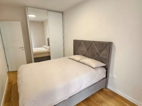 Izdavanje, jednosoban stan, 43m², Central Point, Podgorica - image 14