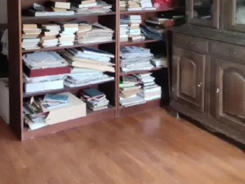 Prodaja, stan, 150m², Zvezdara Sve Podlokacije, Beograd - image 13