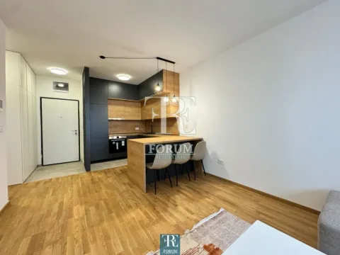 Izdavanje, jednosoban stan, 50m², Stari Aerodrom, Podgorica - image 6