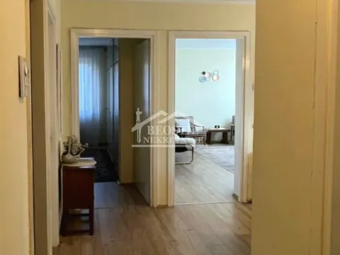 Izdavanje, dvosoban stan, 62m², Olimp, Zvezdara Sve Podlokacije - image 5