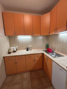 Jednostavna narandžasta kuhinja sa sudoperom. - image 3