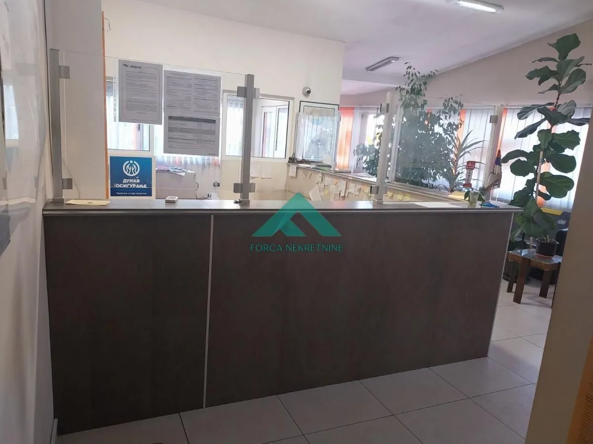 Izdavanje, poslovni prostor, 55m², Dušanovac, Voždovac Sve Podlokacije