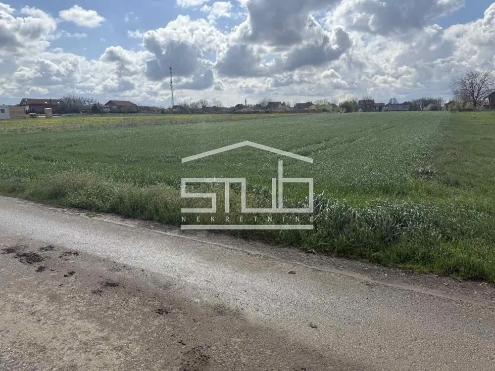 Prodaja, plac, 5000m², Dobanovci, Surčin