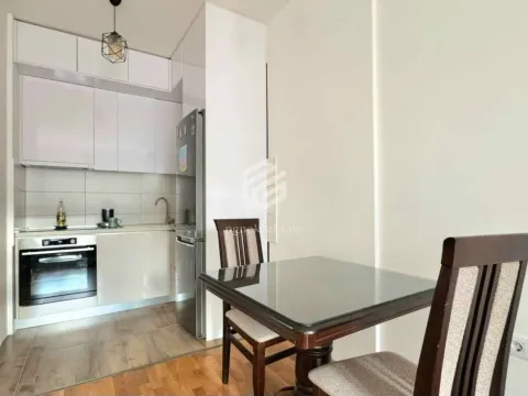 Izdavanje, jednosoban stan, 42m², Stari Aerodrom, Podgorica - image 4