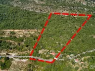 Prodaja, plac, 13300m², Kavač, Kotor - image 4