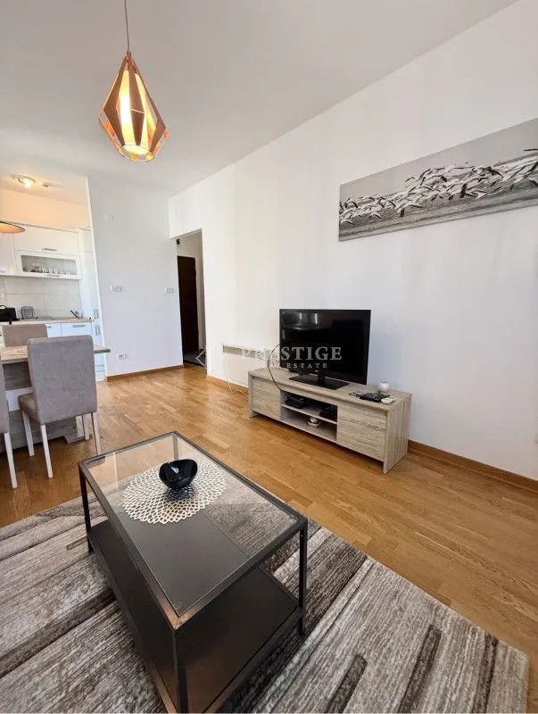 Rent, one bedroom apartment, 45m², City Kvart, Podgorica