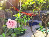 Prodaja, kuća, 176m², Krašići, Tivat - image 11