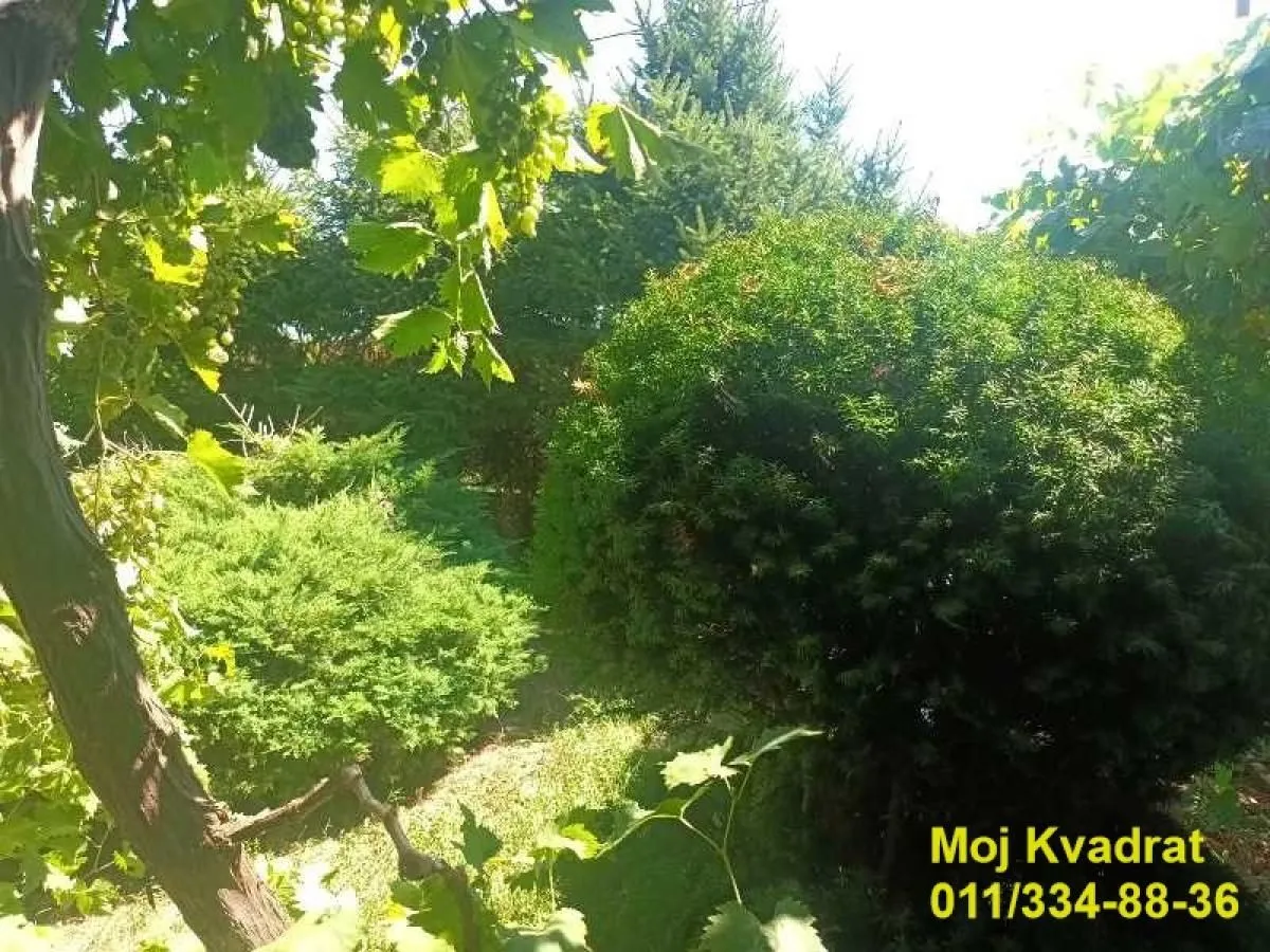 Prodaja, kuća, 260m², Srebrno jezero, Veliko Gradište