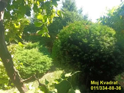 Sale, house, 260m², Srebrno jezero, Veliko Gradište - image 19